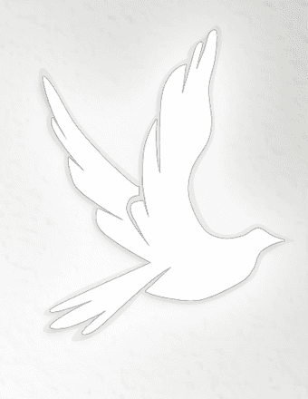 Cecelia Ann "CeCe" Hennig Obituary
